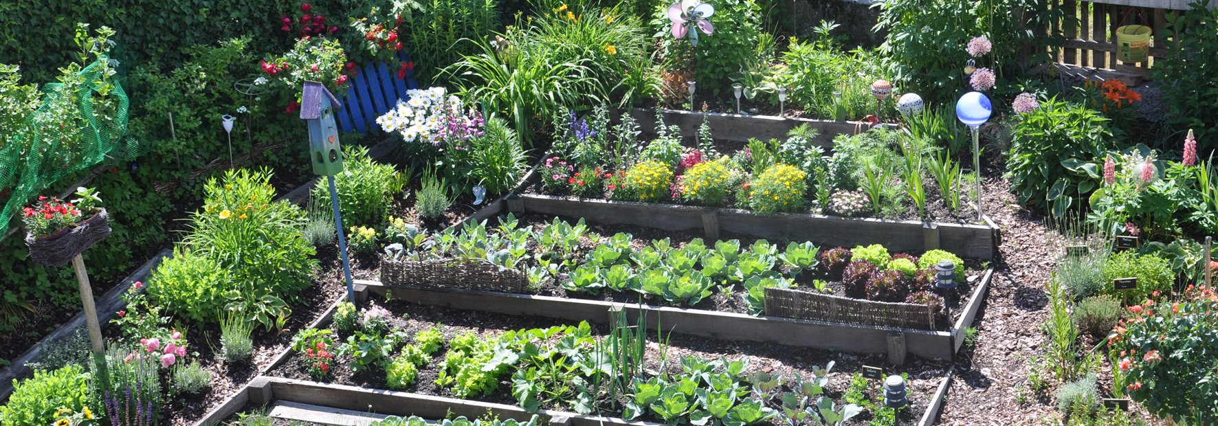 Frisches aus unserem Kräutergarten